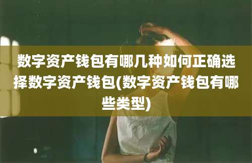 数字资产钱包有哪几种如何正确选择数字资产钱包(数字资产钱包有哪些类型)