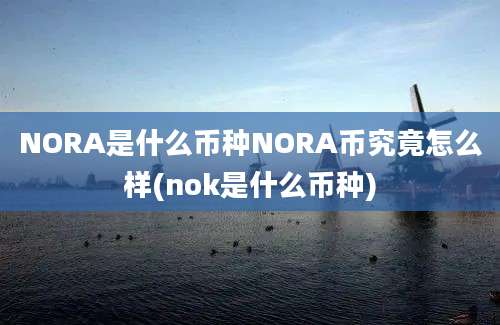 NORA是什么币种NORA币究竟怎么样(nok是什么币种)