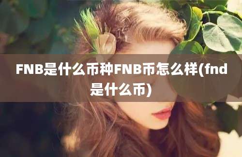 FNB是什么币种FNB币怎么样(fnd是什么币)