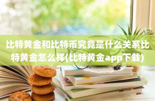 比特黄金和比特币究竟是什么关系比特黄金怎么样(比特黄金app下载)