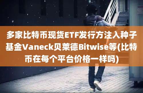 多家比特币现货ETF发行方注入种子基金Vaneck贝莱德Bitwise等(比特币在每个平台价格一样吗)