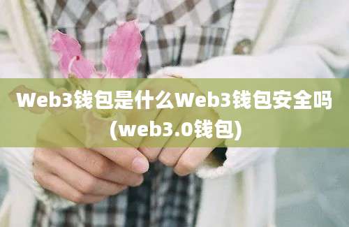 Web3钱包是什么Web3钱包安全吗(web3.0钱包)