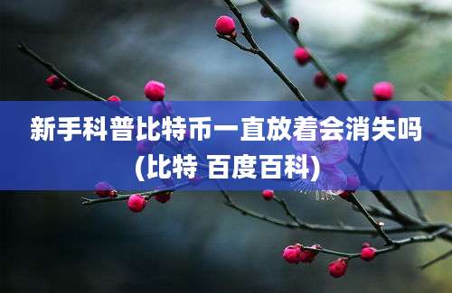 新手科普比特币一直放着会消失吗(比特 百度百科)