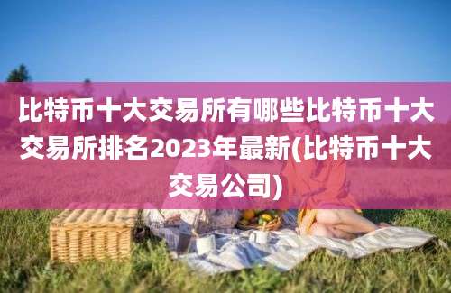 比特币十大交易所有哪些比特币十大交易所排名2023年最新(比特币十大交易公司)