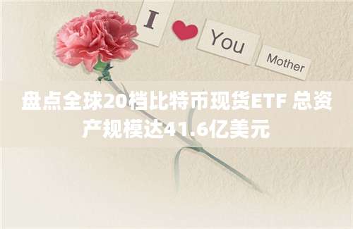 盘点全球20档比特币现货ETF 总资产规模达41.6亿美元