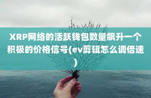 XRP网络的活跃钱包数量飙升一个积极的价格信号(ev剪辑怎么调倍速)