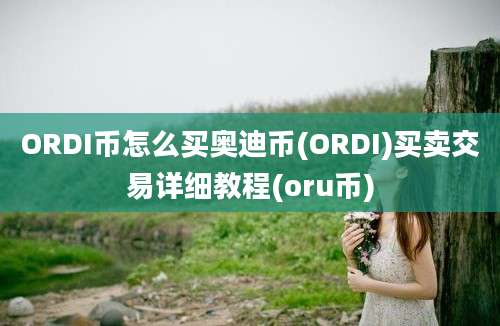 ORDI币怎么买奥迪币(ORDI)买卖交易详细教程(oru币)