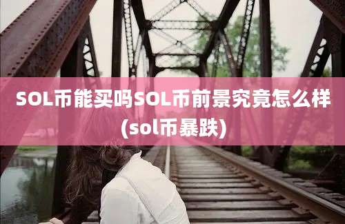 SOL币能买吗SOL币前景究竟怎么样(sol币暴跌)