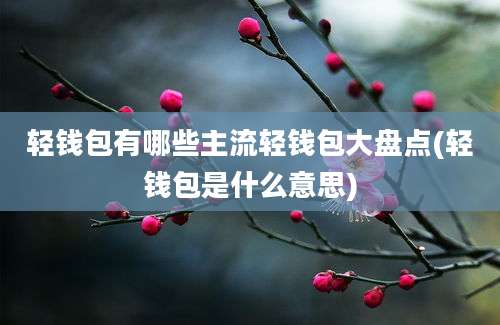 轻钱包有哪些主流轻钱包大盘点(轻钱包是什么意思)