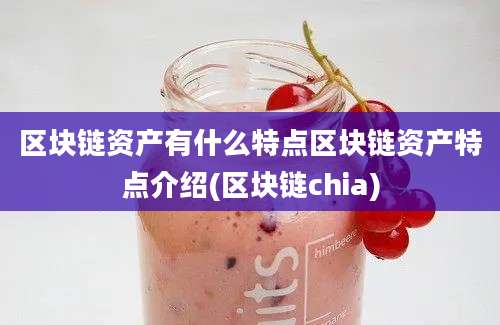 区块链资产有什么特点区块链资产特点介绍(区块链chia)