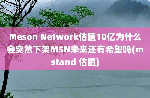 Meson Network估值10亿为什么会突然下架MSN未来还有希望吗(mstand 估值)