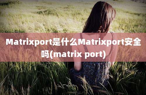 Matrixport是什么Matrixport安全吗(matrix port)