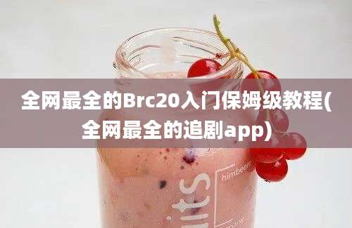 全网最全的Brc20入门保姆级教程(全网最全的追剧app)