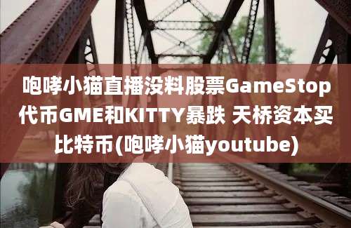 咆哮小猫直播没料股票GameStop代币GME和KITTY暴跌 天桥资本买比特币(咆哮小猫youtube)