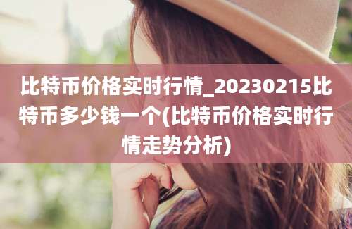 比特币价格实时行情_20230215比特币多少钱一个(比特币价格实时行情走势分析)