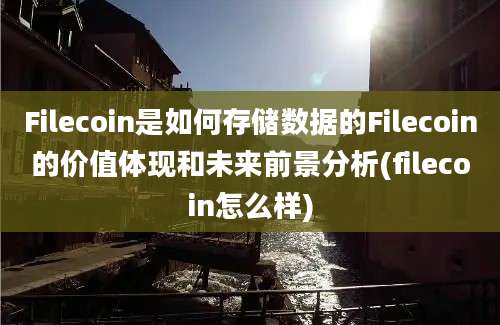 Filecoin是如何存储数据的Filecoin的价值体现和未来前景分析(filecoin怎么样)