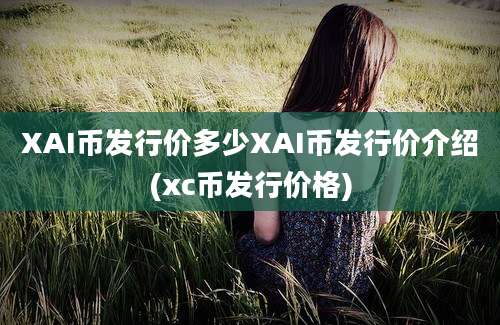 XAI币发行价多少XAI币发行价介绍(xc币发行价格)