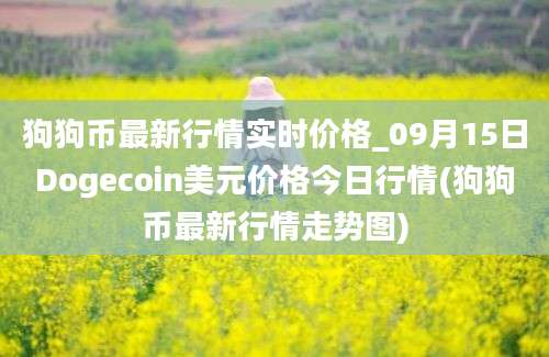 狗狗币最新行情实时价格_09月15日Dogecoin美元价格今日行情(狗狗币最新行情走势图)