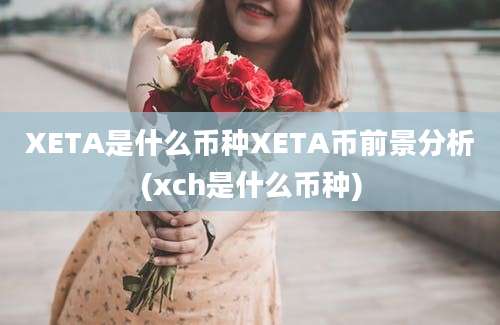 XETA是什么币种XETA币前景分析(xch是什么币种)