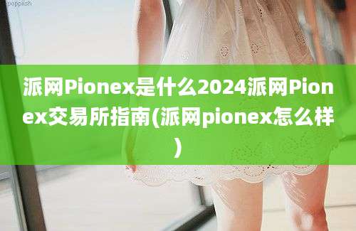 派网Pionex是什么2024派网Pionex交易所指南(派网pionex怎么样)