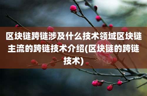 区块链跨链涉及什么技术领域区块链主流的跨链技术介绍(区块链的跨链技术)