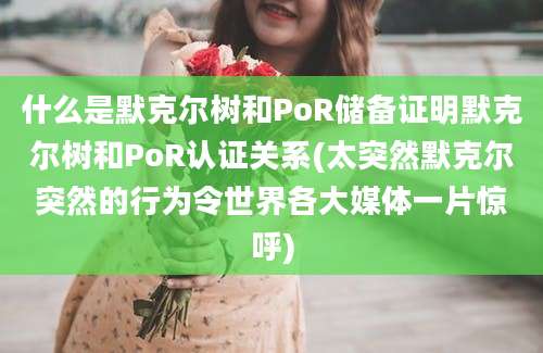 什么是默克尔树和PoR储备证明默克尔树和PoR认证关系(太突然默克尔突然的行为令世界各大媒体一片惊呼)