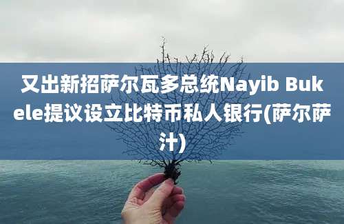 又出新招萨尔瓦多总统Nayib Bukele提议设立比特币私人银行(萨尔萨汁)