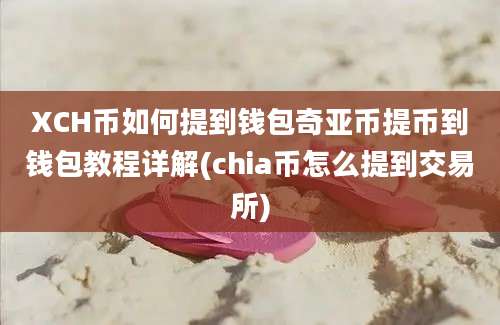 XCH币如何提到钱包奇亚币提币到钱包教程详解(chia币怎么提到交易所)