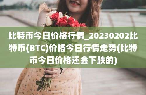 比特币今日价格行情_20230202比特币(BTC)价格今日行情走势(比特币今日价格还会下跌的)