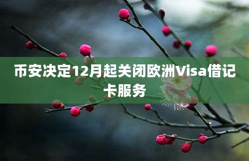 币安决定12月起关闭欧洲Visa借记卡服务