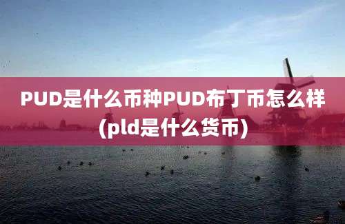 PUD是什么币种PUD布丁币怎么样(pld是什么货币)