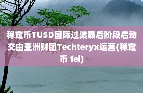 稳定币TUSD国际过渡最后阶段启动交由亚洲财团Techteryx运营(稳定币 fei)