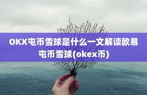 OKX屯币雪球是什么一文解读欧易屯币雪球(okex币)