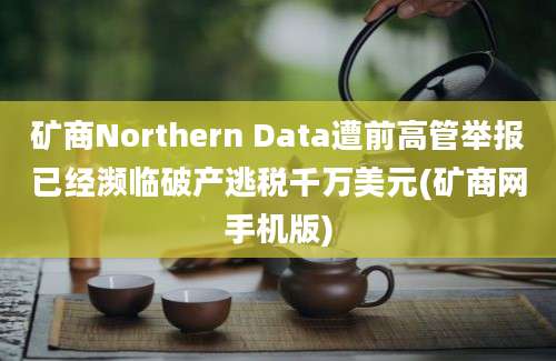 矿商Northern Data遭前高管举报已经濒临破产逃税千万美元(矿商网手机版)