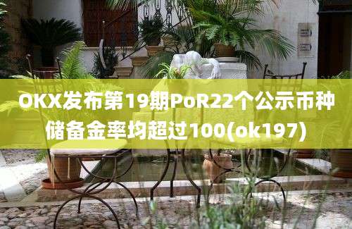 OKX发布第19期PoR22个公示币种储备金率均超过100(ok197)