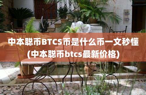 中本聪币BTCS币是什么币一文秒懂(中本聪币btcs最新价格)