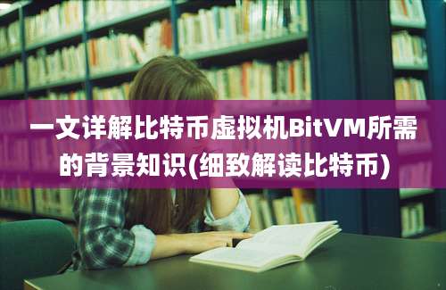 一文详解比特币虚拟机BitVM所需的背景知识(细致解读比特币)