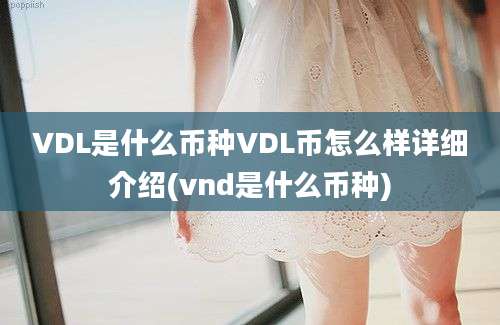 VDL是什么币种VDL币怎么样详细介绍(vnd是什么币种)