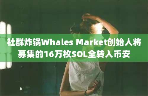 社群炸锅Whales Market创始人将募集的16万枚SOL全转入币安