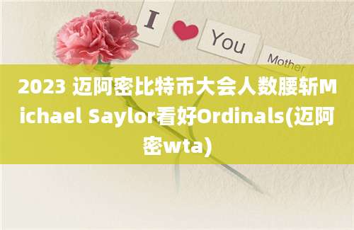 2023 迈阿密比特币大会人数腰斩Michael Saylor看好Ordinals(迈阿密wta)