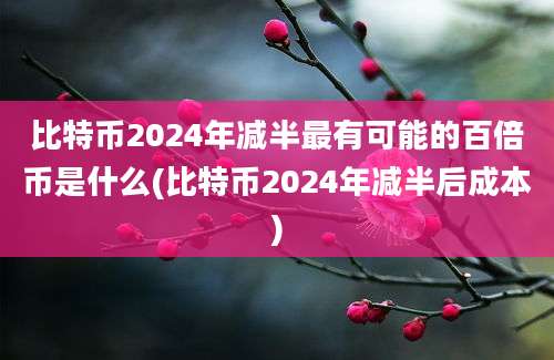 比特币2024年减半最有可能的百倍币是什么(比特币2024年减半后成本)