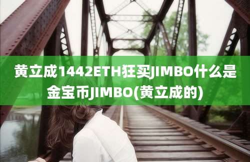 黄立成1442ETH狂买JIMBO什么是金宝币JIMBO(黄立成的)