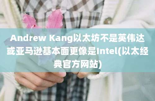 Andrew Kang以太坊不是英伟达或亚马逊基本面更像是Intel(以太经典官方网站)