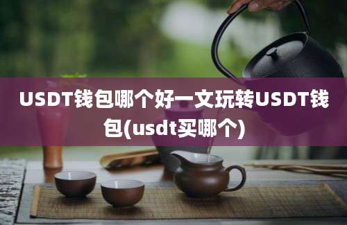 USDT钱包哪个好一文玩转USDT钱包(usdt买哪个)