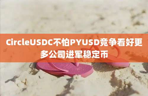 CircleUSDC不怕PYUSD竞争看好更多公司进军稳定币