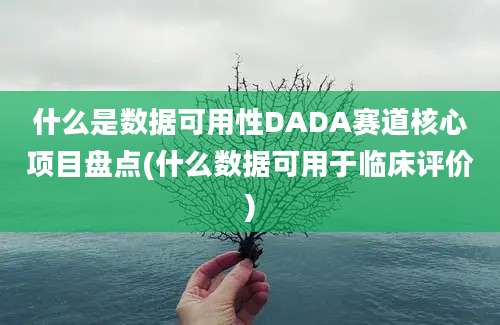 什么是数据可用性DADA赛道核心项目盘点(什么数据可用于临床评价)