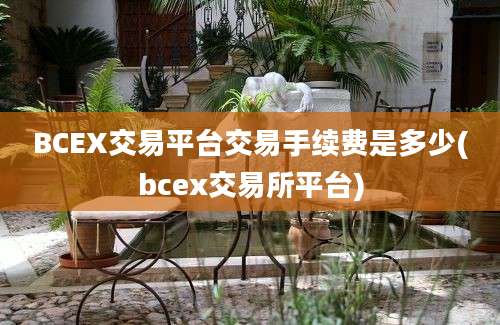 BCEX交易平台交易手续费是多少(bcex交易所平台)