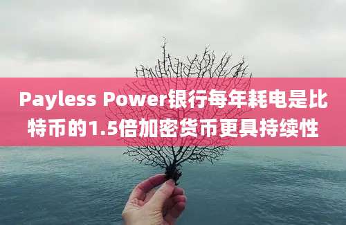 Payless Power银行每年耗电是比特币的1.5倍加密货币更具持续性