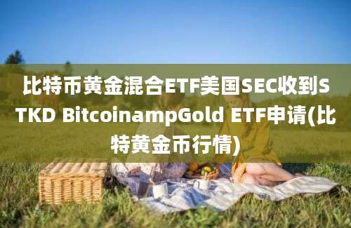 比特币黄金混合ETF美国SEC收到STKD BitcoinampGold ETF申请(比特黄金币行情)