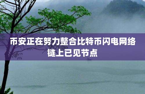 币安正在努力整合比特币闪电网络链上已见节点